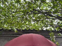 -藏红花·西班牙餐厅(北京五道营店)