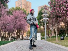 -重庆市江北嘴中央商务区中央公园