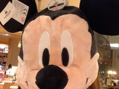 -巴黎迪士尼乐园