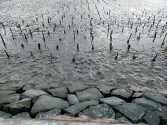 -上海南汇嘴大堤酒店