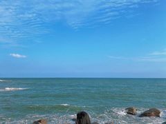 -广东惠东海龟国家级自然保护区