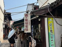 -猫的魔法密林(衣裳街店)