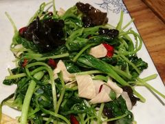 腐皮木耳鸡毛菜-海富荣·锅贴·陕菜家常菜(阳光城店)