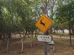 -观唐（国际）度假村温泉