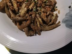 -古道村落(温汤店)