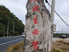 -河口景区
