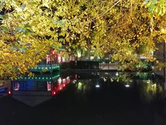 -雅和生态渔庄·宜城锅巴饭(龙灵山公园店)