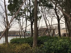 -上海长兴岛郊野公园