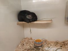 -龙猫仔乐园(惠福东路店)