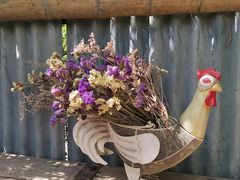 -斯多格书乡(北京大学畅春园店)