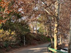 -老君山