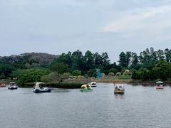 -南沙天后宫景区