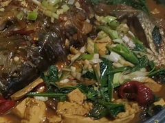 -庆岭迎宾园正宗活鱼馆