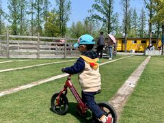 -前小桔亲子创意农场·草莓采摘·露营烧烤