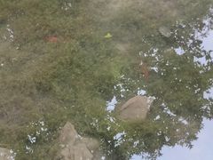 -云丘山景区