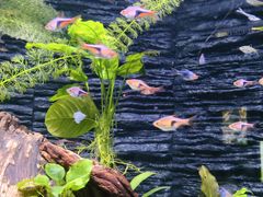 -上海海洋水族馆