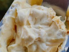 青稞豆乳-谷艺烘焙