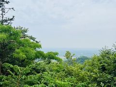 -冶父山国家森林公园