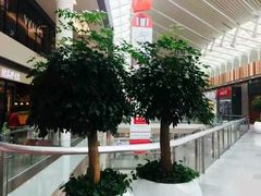 -威尔仕健身会所(北京宜家店)
