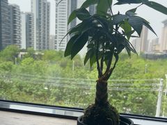 -瓦库茶馆17号(海汇港店)