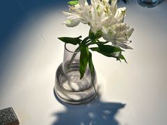 -月芽·自由餐厅·西溪湿地餐厅