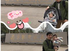 -南京航空航天大学(将军路校区)