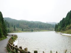 -武陵山森林公园