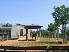 -石家庄市动物园