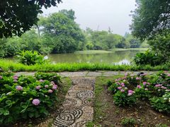 -西溪国家湿地公园