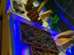 -银鲨海鲜烤肉火锅自助餐厅(五星店)