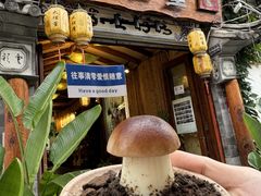 -大理董·董家小厨野生菌火锅(古城旗舰店)