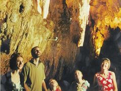 -怀托摩萤火虫洞