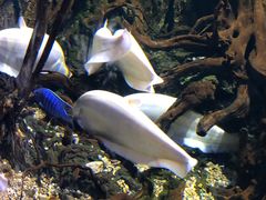 -华夏文旅海洋公园