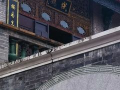 -碧江金楼