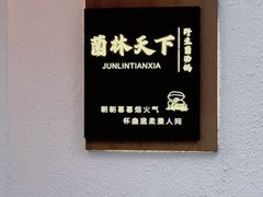 -菌林天下·野生菌汤锅