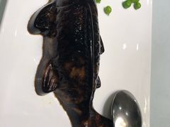 -清水蘭軒