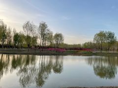 -东郊湿地公园