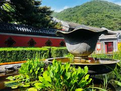 -潭柘寺景区