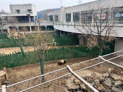-沈阳森林动物园