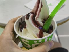 -Salud撒露欧洲冻酸奶(五道口购物中心店)