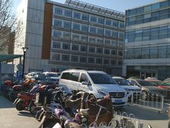-首都医科大学附属北京地坛医院