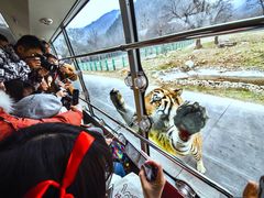 -西安秦岭野生动物园