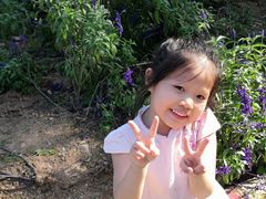 -松山湖梦幻百花洲