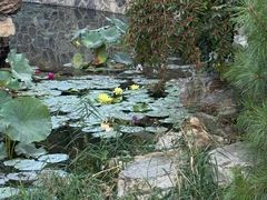-莲池书院博物馆