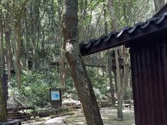 -富春桃源风景区