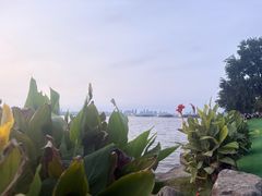 -东湖落雁景区