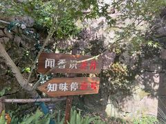 -龙井壹号·茶缘山景宴(龙井村店)