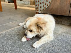 -梨木台悦来客农家院