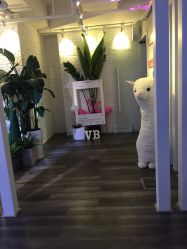 -V Beautique妆颜美学体验馆