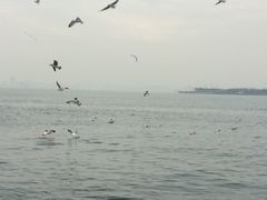 iphone_upload_pic-栈桥景区